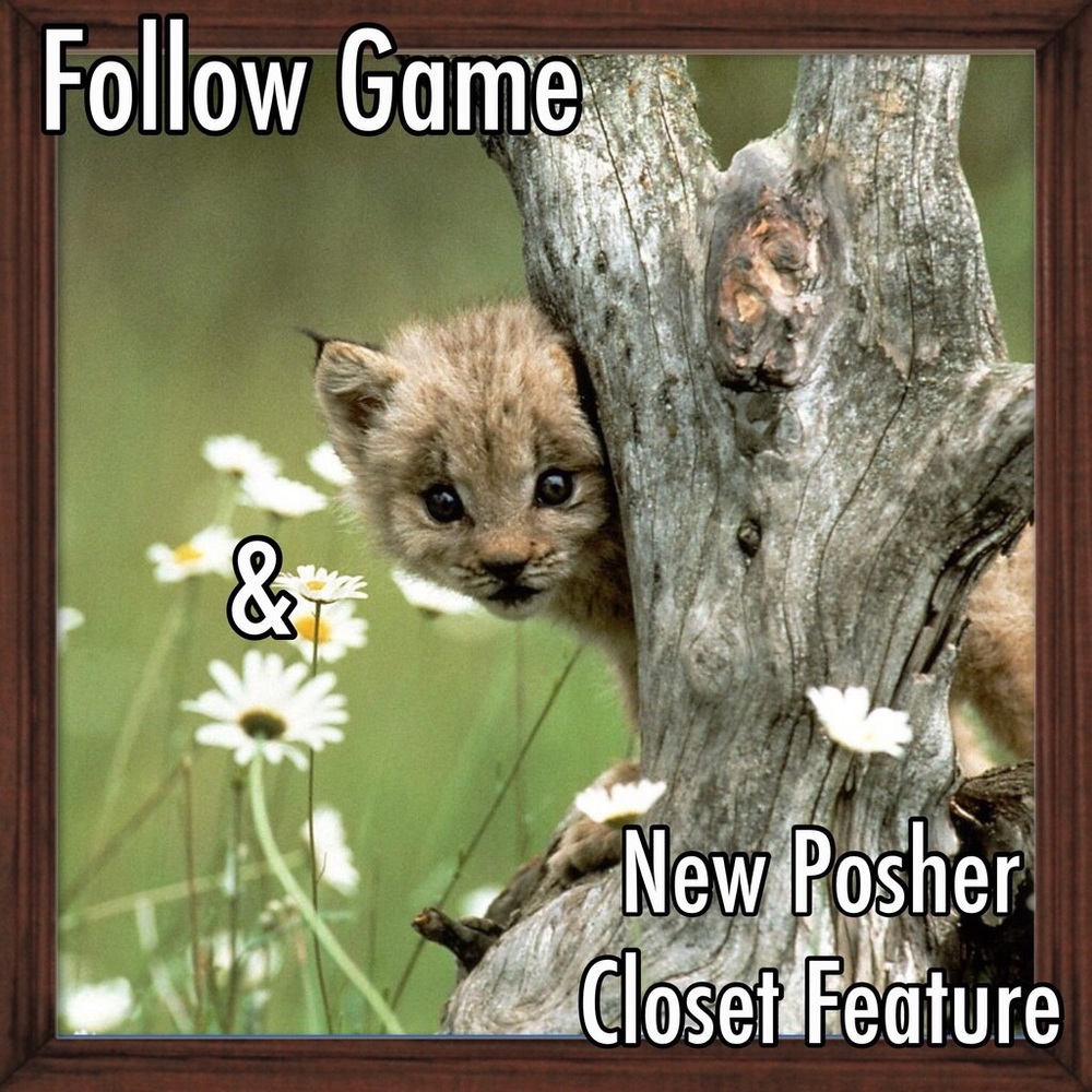 New Posher Closet Feature and Follow Game